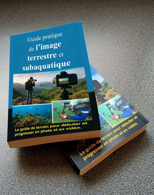 Guide pratique de l'image terrestre et subaquatique